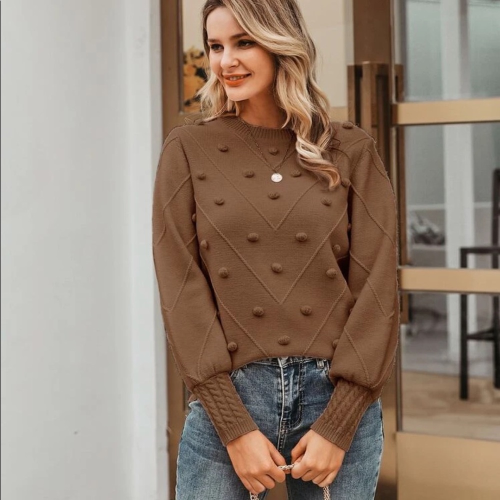 Brown  Pom Pom Sweater - Picture 4 of 5